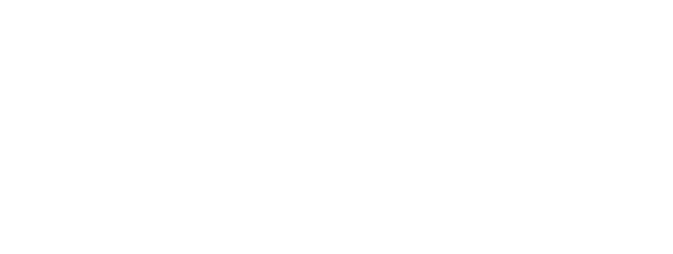 MIZU LOGO