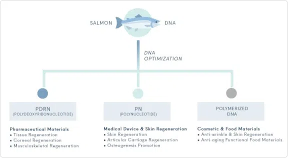 Skin Boosters For Rejuvenation - Salmon DNA Booster | Mizu