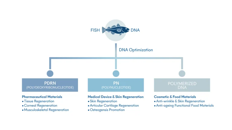 Polynucleotide Skin Booster Treatment - Salmon DNA | Mizu